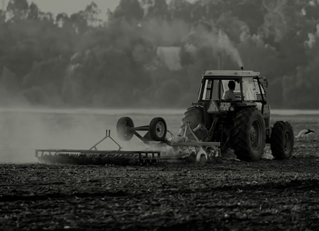 aplicaciones-mercado-agricultura-steelceram